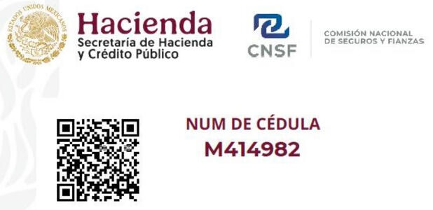 CNSF: M414982 CNSF: M414982
